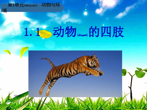 三年级科学上册 第一单元 动物与环境 第1课动物的四肢课件