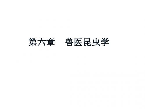 昆虫学