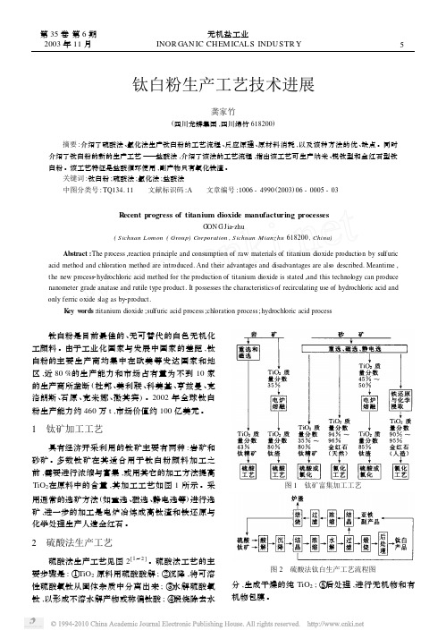 钛白粉生产工艺技术进展_龚家竹
