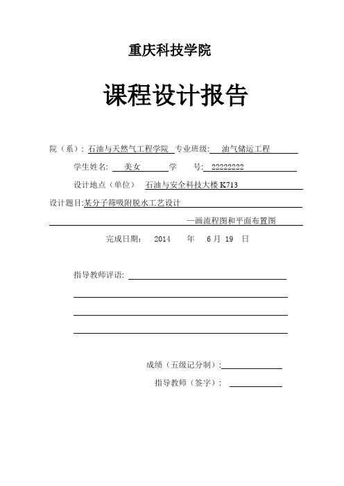 某分子筛吸附脱水工艺设计-画流程图和平面布置图