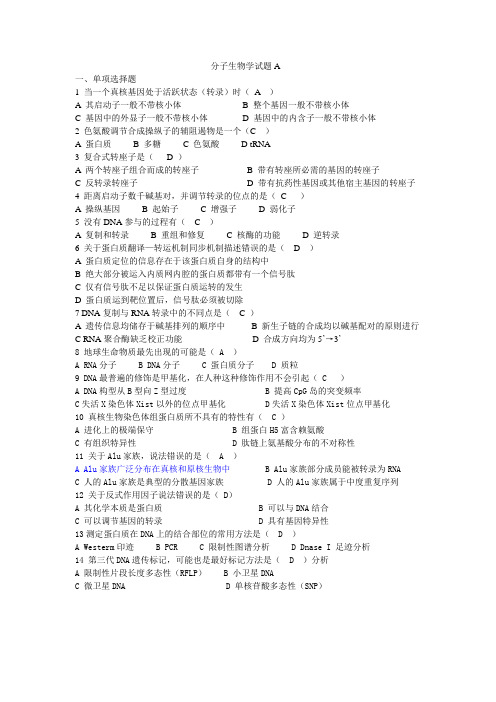 分子生物学试题A