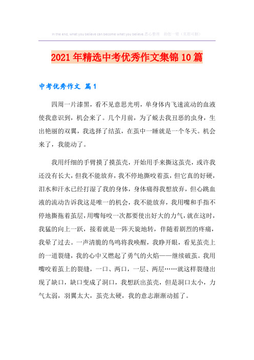 2021年精选中考优秀作文集锦10篇