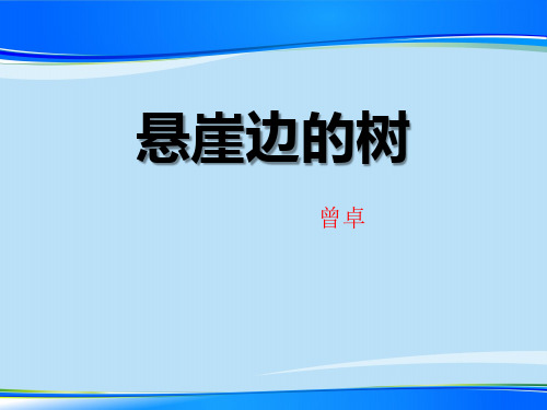 《悬崖边的树》PPT【推荐下载课件】