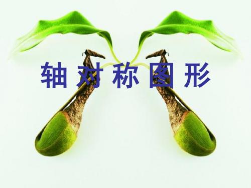 培智学校聋哑学校聋生实用数学《轴对称图形》特殊教育课件