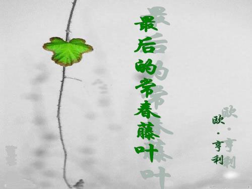 最后的常春藤叶说课