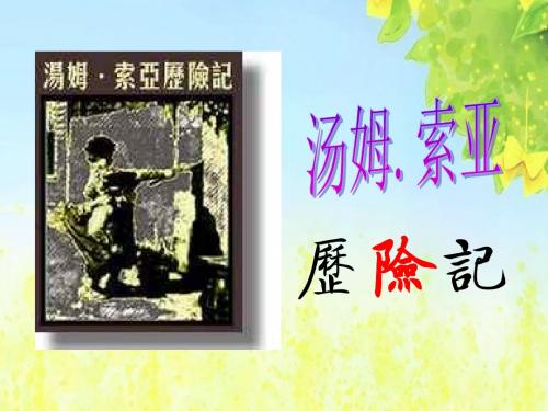 新课标人教版小学六年级语文下册：17 汤姆·索亚历险记课件PPT、优质教学课件