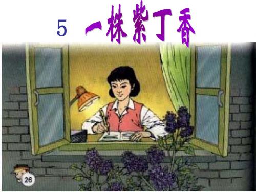 《一株紫丁香》课件(新课标人教版二年级语文上学期课件)