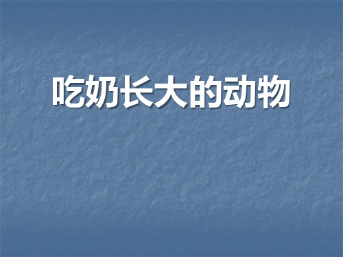 《吃奶长大的动物》多种多样的动物(最新)ppt2