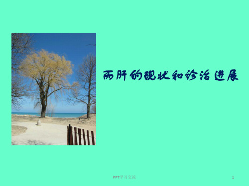 丙肝的现状和诊治进展ppt课件