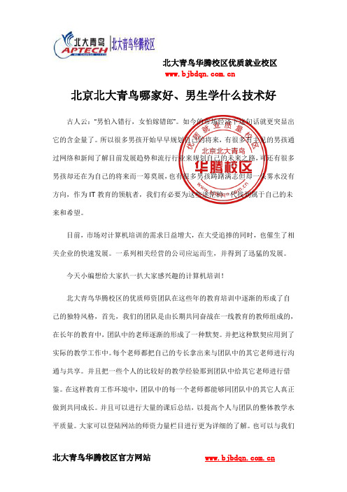 北京北大青鸟哪家好、男生学什么技术好