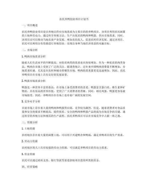 农民养鸭创业项目计划书