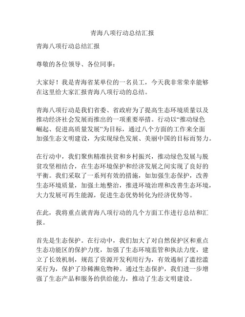 青海八项行动总结汇报