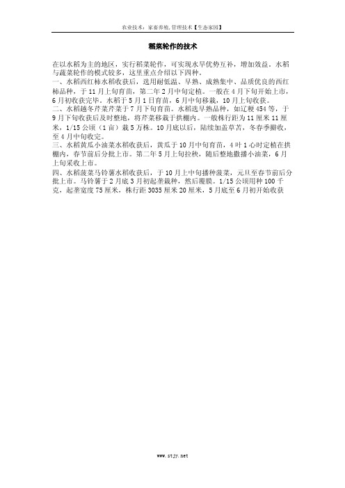 稻菜轮作的技术