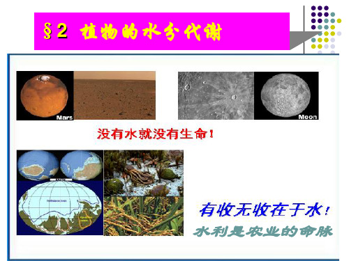1 水分代谢1