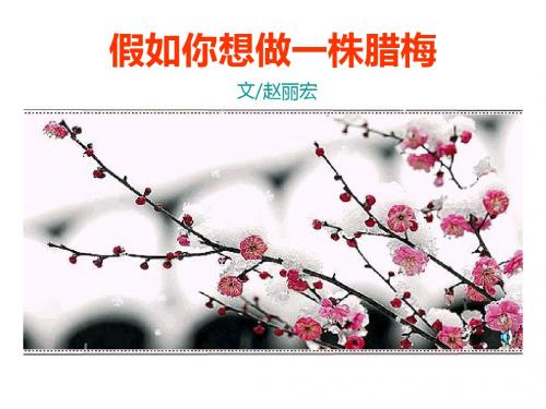 假如你想做一株腊