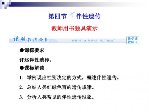 中图版必修2伴性遗传 课件(63张)