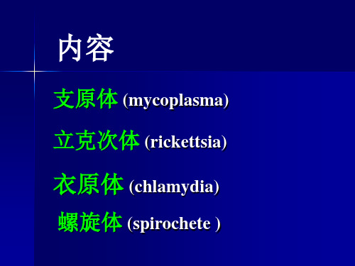 微生物课件_支原体立克次体衣原体螺旋体