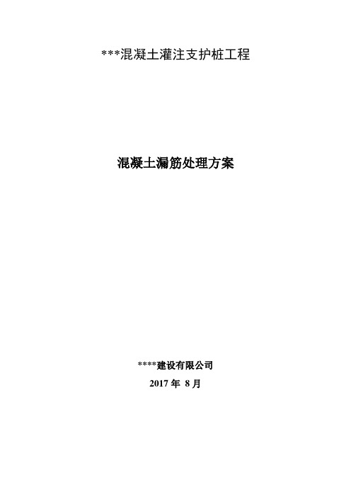 混凝土灌注支护桩工程-(露筋、中空处理)