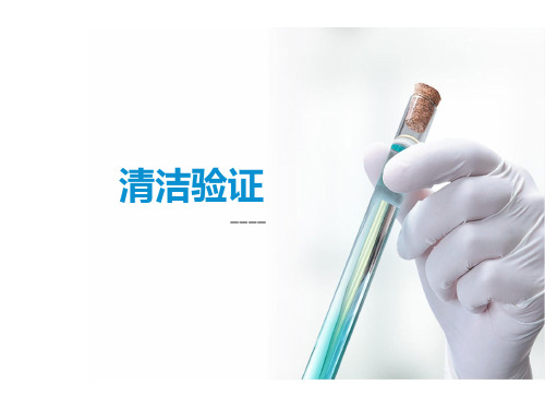 清洁验证