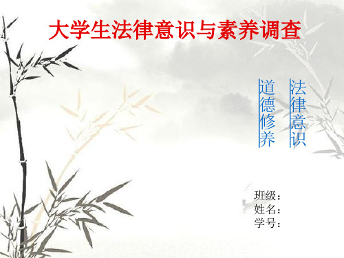 大学生法律意识素养调查PPT