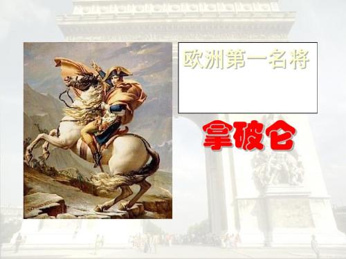 拿破仑4