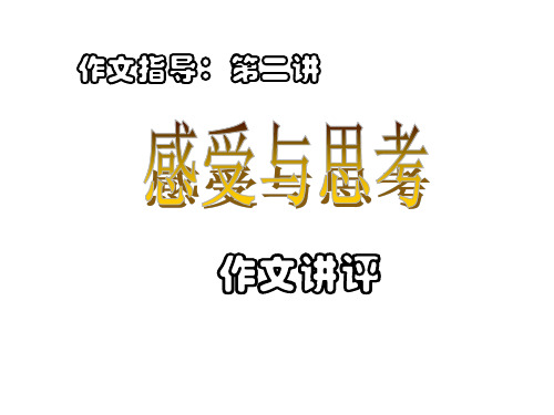 “感受与思考”作文讲评1002(201911整理)