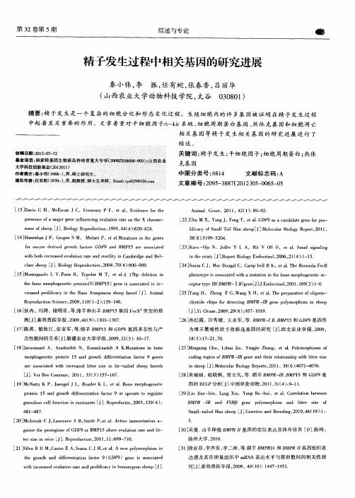 精子发生过程中相关基因的研究进展