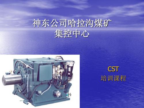 CST培训课程