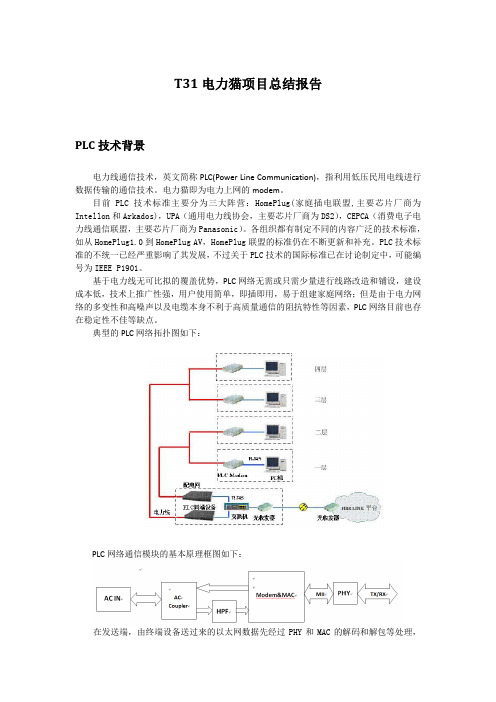 T31电力猫项目总结报告