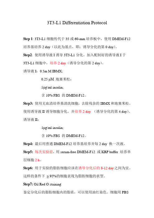 脂肪细胞分化方法 3T3-L1 Differentiation Protocol