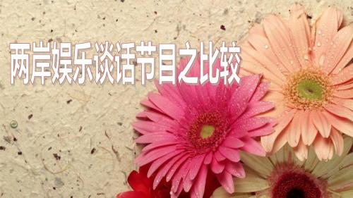 两岸娱乐谈话节目之比较