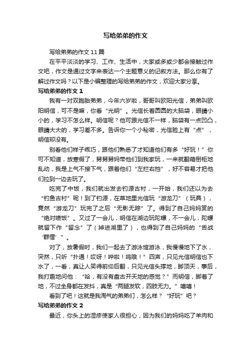 写给弟弟的作文11篇