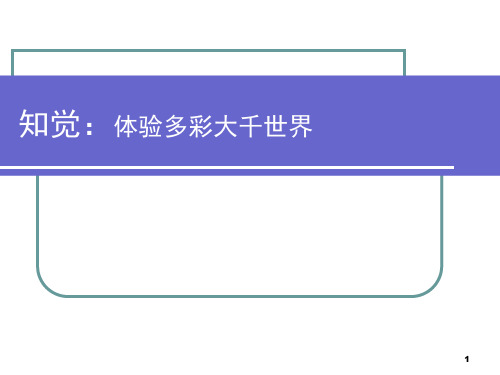 知觉的特性PPT优秀课件