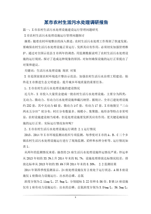 某市农村生活污水处理调研报告_0