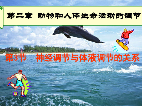(超实用,图片动画有趣)神经调节和体液调节的关系-课堂