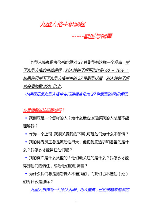 九型副型与侧翼大纲