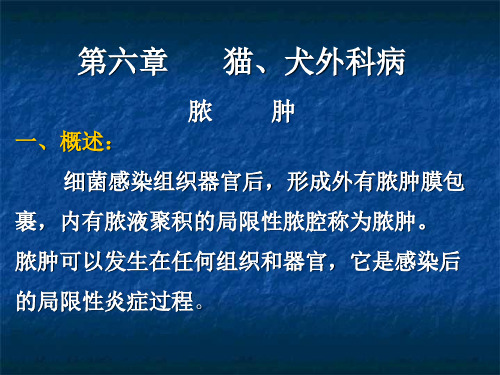 第六章 猫犬外科病