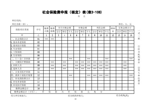 社会保险费申报(核定)表(表3-10B)