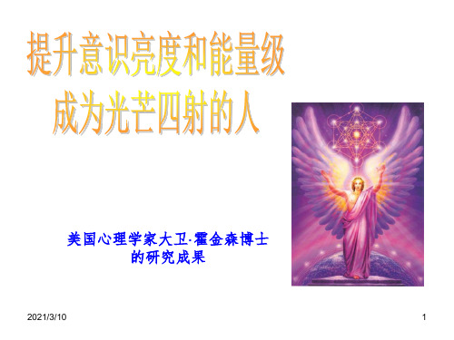 霍金斯的能量层级课件PPT