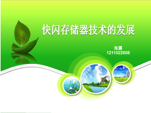 快闪存储器的发展资料
