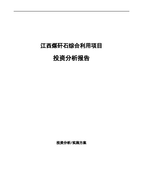 江西煤矸石综合利用项目投资分析报告
