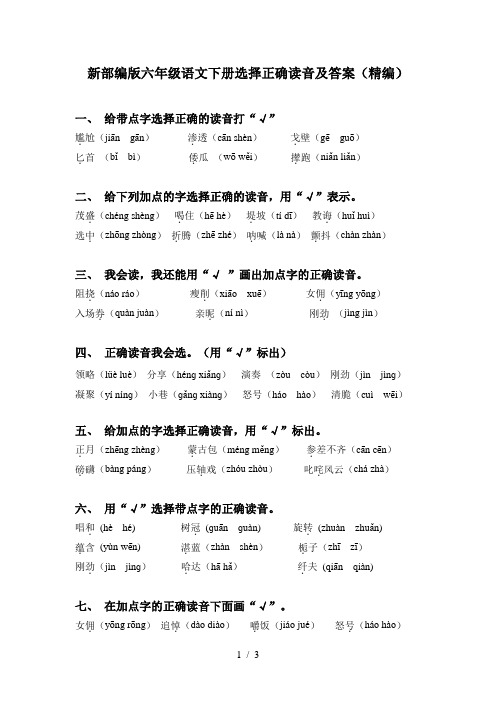新部编版六年级语文下册选择正确读音及答案(精编)