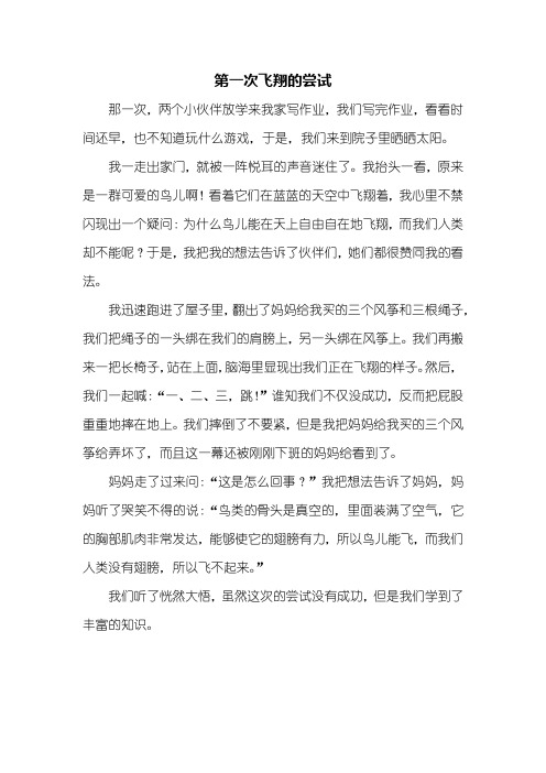 五年级作文：第一次飞翔的尝试作文500字