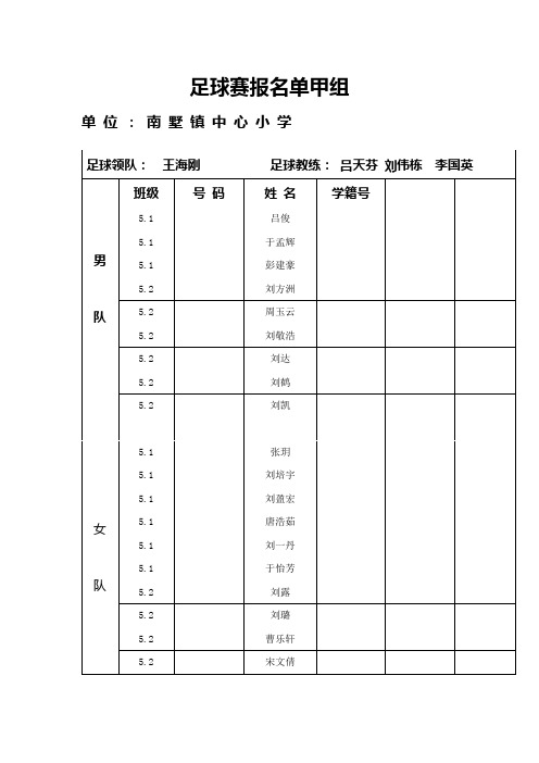 足球赛报名单