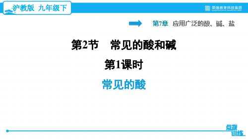 2021春沪教版九年级化学下册 第7章 7.2.1 常见的酸