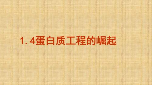 高中生物 专题1 基因工程 1.4 蛋白质工程的崛起名师精编课件 新人教版选修3