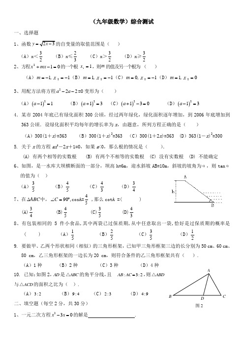 初三九年级数学综合测试