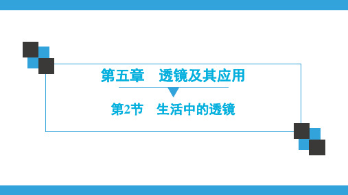 《透镜及其应用》ppt课件分析(新)1