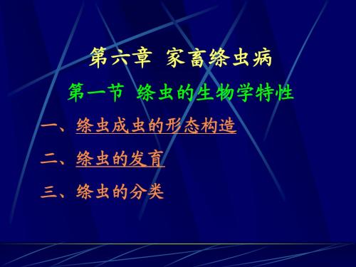 家畜绦虫病课件