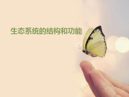 《生态系统的结构和功能》PPT下载【优质课件】